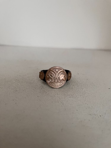 Wwe bronze undisputed equipe - bronze,