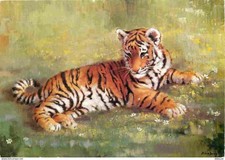 Animals - Beasts - Tiger - Tiger - Art Painting - Sylvia Duran - Tiger Cub - CPM