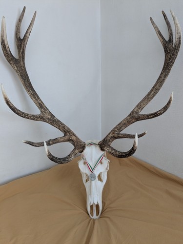 Massacre cerf - de,
