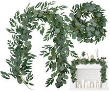Feuilles de plante grimpante