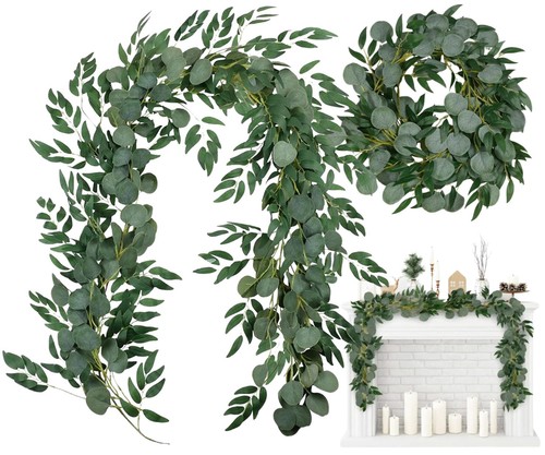 Feuilles plante grimpante - feuilles,
