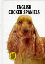 English Cocker Spaniels