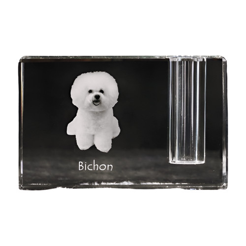 Bichon frise gelockter - bichon, frise,gelockter