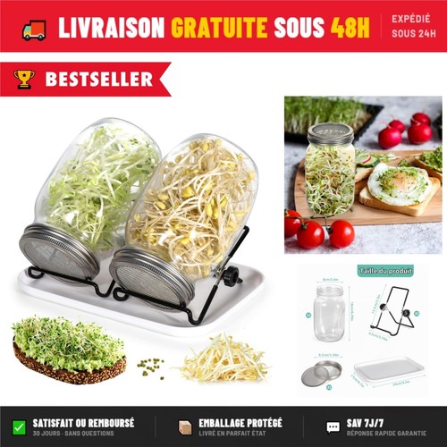 Cinnani germoir verre - cinnani,