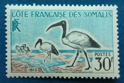 Côte des somalis - côte,