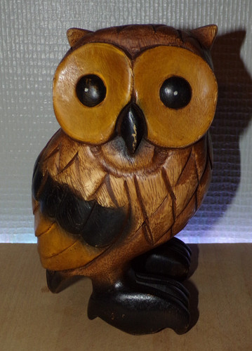 Hibou chouette bois - hibou,