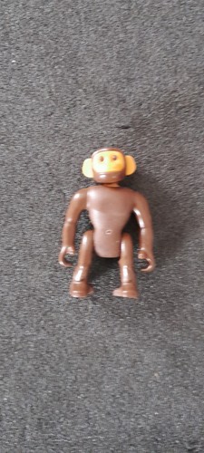 Animal singe chimpanze - singe,