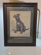 Vintage Cecil Aldin Framed And Mounted Mongrel Dog Print