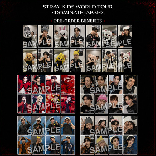 Psl stray kids - stray, japan