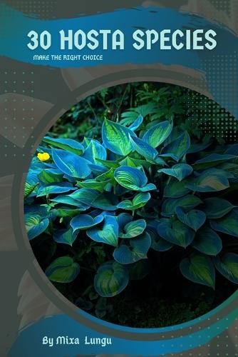 Mixa lungu hosta species - 30,