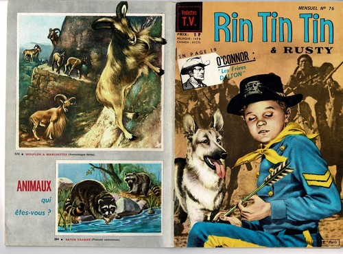 Rintintin de 1966 tbe - 76,