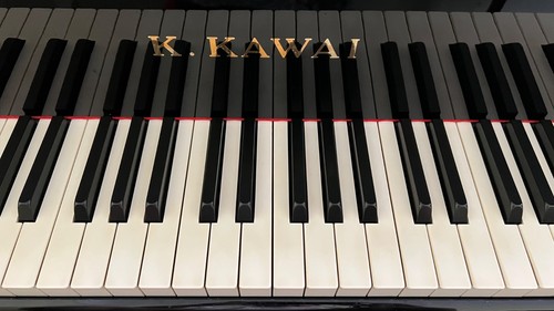 Vends piano quard queue - piano,