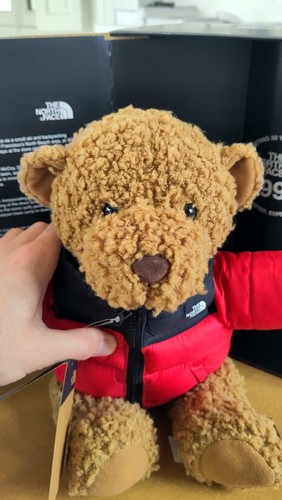The north face nuptse bear - face,