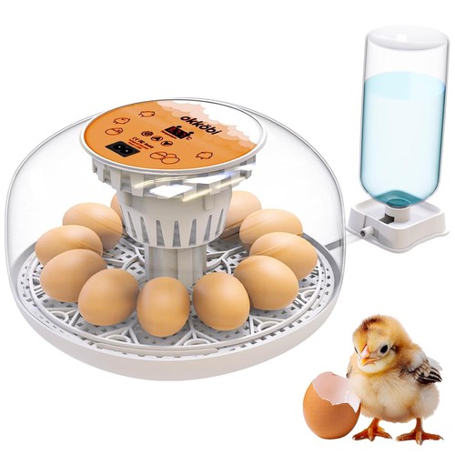 M12 couveuse oeuf automatique - m12,
