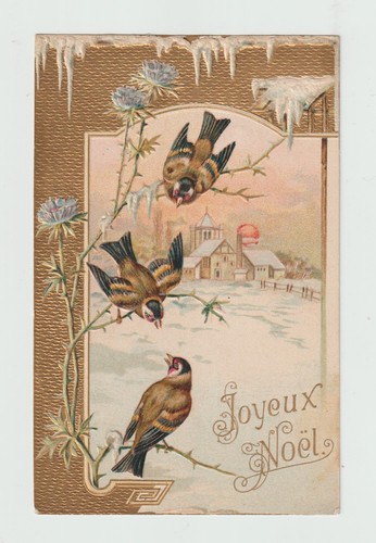 Joyeux noël oiseaux - joyeux, oiseaux.