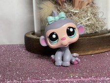 🌸Petshop singe Capucin