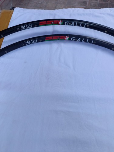 Gaulois flèche wallon paire