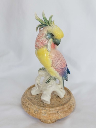 Porcelain cockatoo bird - cockatoo,