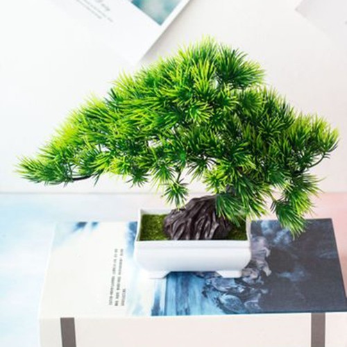 Arbre bonsaï pot - en, carré