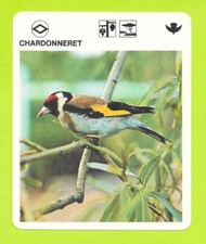 Fiche - Le livre de Paris - 1975 - Chardonneret