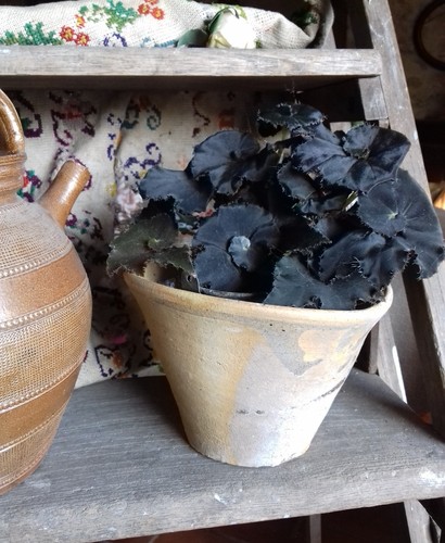 Pot résine ancien terre - à,