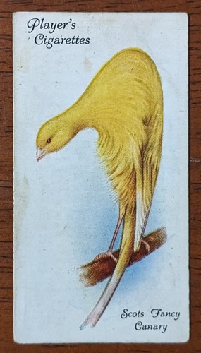 1933 player cigarette card - player,
