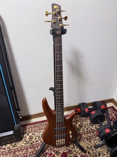 Ibanez sdgr 1205 guitare - sr,