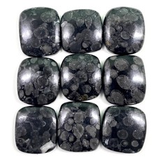 9 Pcs De Corail Fossile Noir Naturel 24-27Mm Lot De Gemmes Cabochon Non Traitées