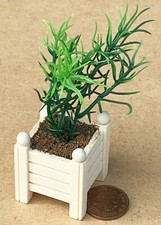 Maison de Poupées Carré en