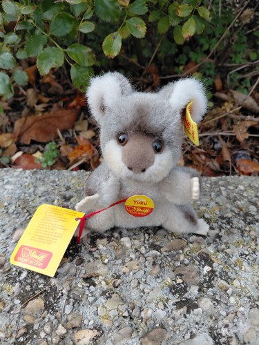 Vintage koala steiff - vintage,