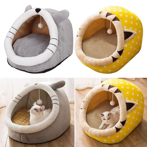 Chat lit maison chiot - maison,