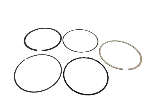 Segments ducati desmosedici - segments,