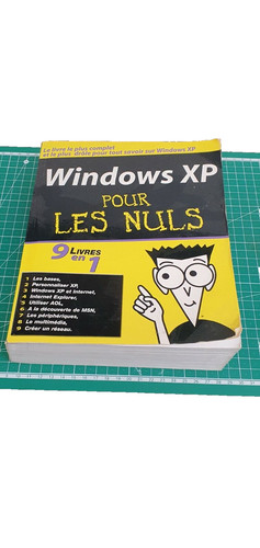 Windows pour les nuls 9 - pour,