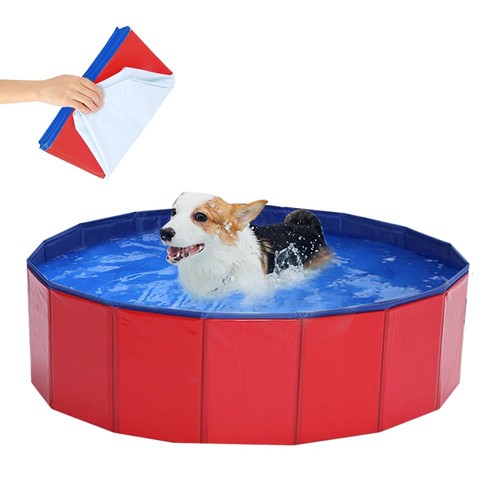 Piscine pour chien 20 - piscine,