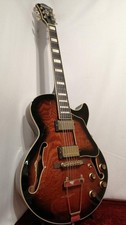 Guitare électrique acoustique