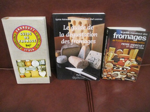 Lot livres guides sur - lot,