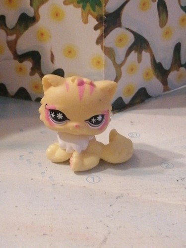 Petshop chat persan 878 - chat,