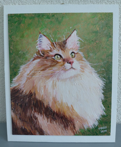 Tableau acrylique chat persan - chat,