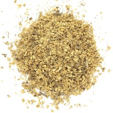 Sureau noir en fleurs