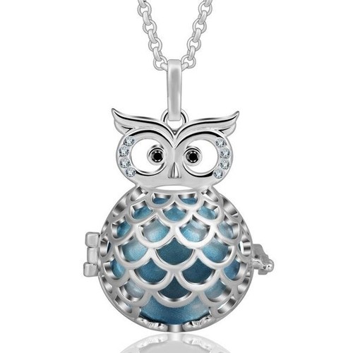 Bola grossesse cage hibou - grossesse,