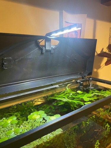 Led pour aquarium - led,