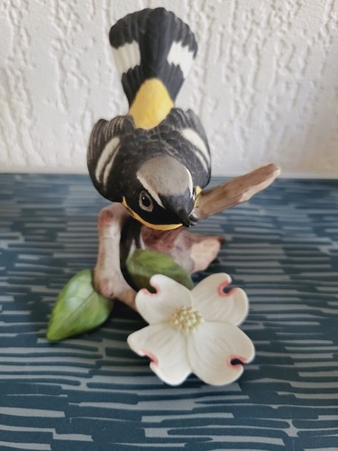 Magnolia warbler the franklin - the,