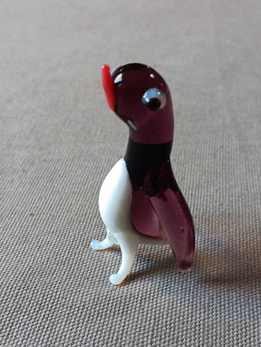 Petit pingouin verre de - pingouin, en