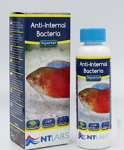 Labs anti internal bacteria - nt, anti-internal