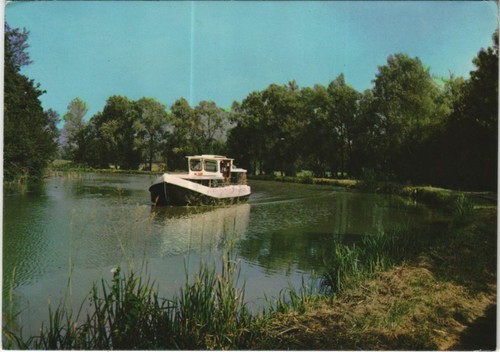 Cpm yonne penichette sur - yonne,