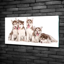 Tulup Tableau Sur Verre