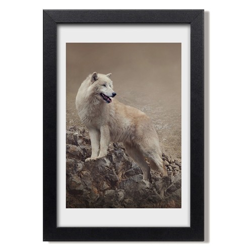 Tulup photo salon - tulup, 20x30cm
