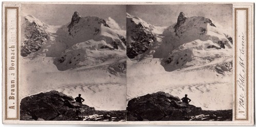 Suisse petit - suisse.petit, mt