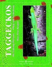 Taggeckos: Die Gattung