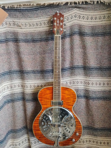 Temu resonator guitar - temu,